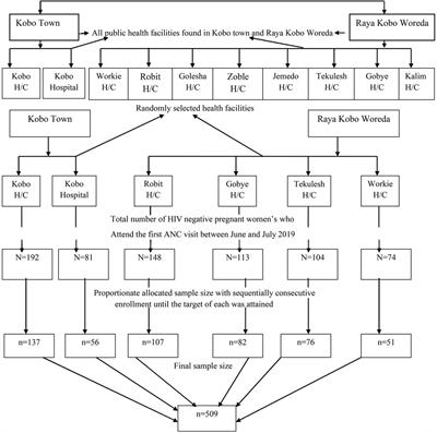 HIV seroconversion and associated factors among seronegative pregnant women attending ANC in Ethiopia: an institution-based cross-sectional study